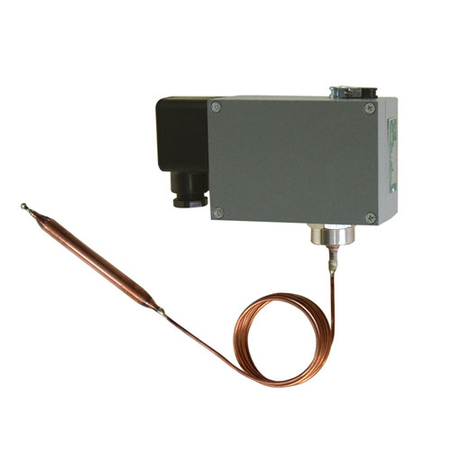  541/7TZp|c(din)ض_P(gun) 