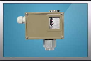 BL-Y501防腐型壓力開關