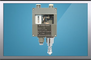 BL-Y50C船用壓力開關